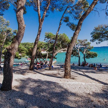 Grande Glamping With Pool Hotell Biograd Na Moru Eksteriør bilde